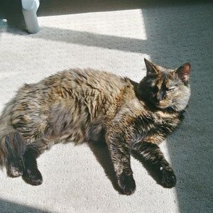 Meet your Posher, Alicia